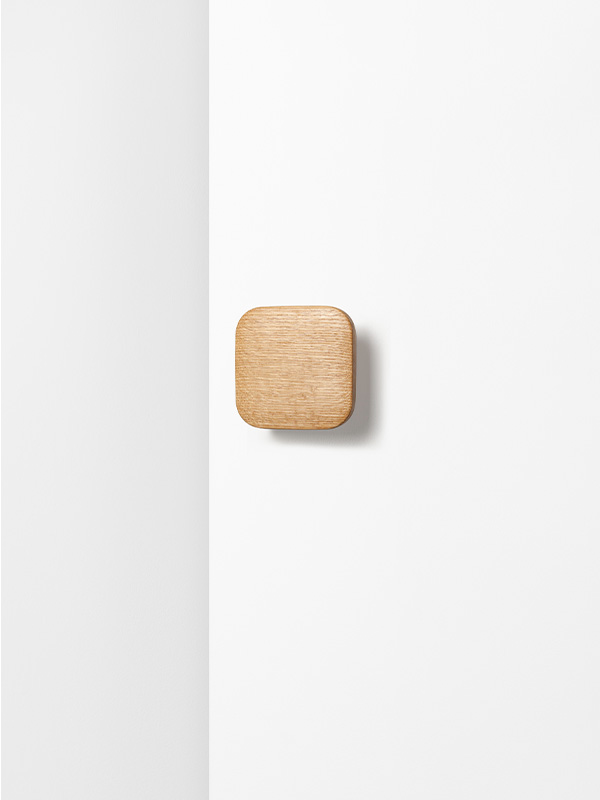 Photo1: Pull plate S 2P (1)
